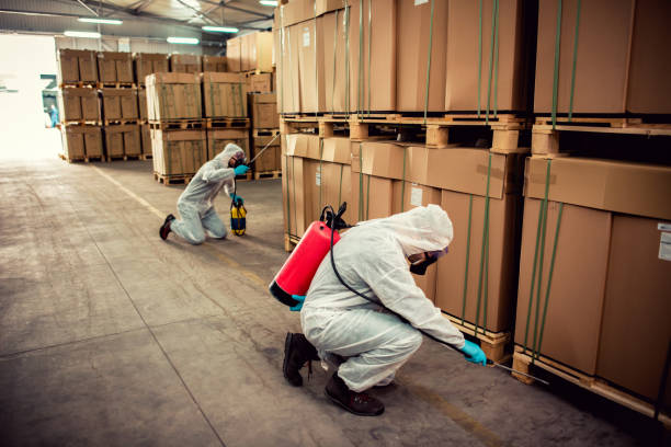 Best Local Pest Control Services  in Colville, WA