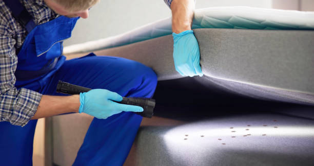 Best Pest Prevention Services  in Colville, WA